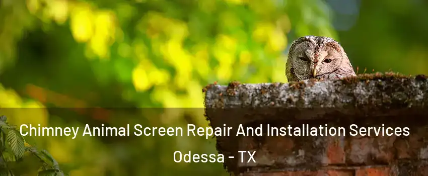  Chimney Animal Screen Repair And Installation Services Odessa - TX