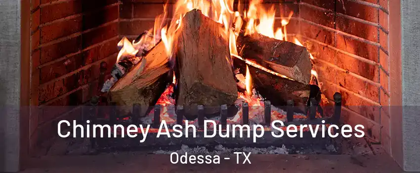  Chimney Ash Dump Services Odessa - TX
