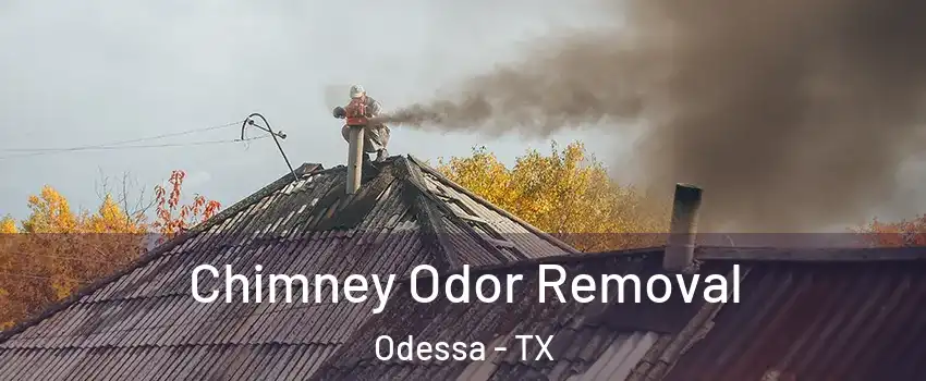  Chimney Odor Removal Odessa - TX