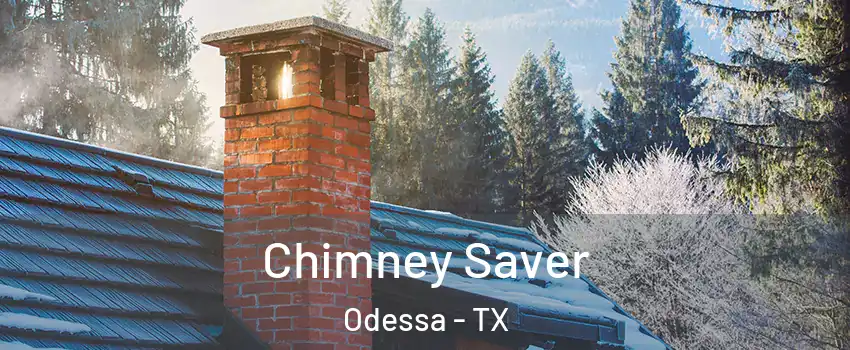  Chimney Saver Odessa - TX