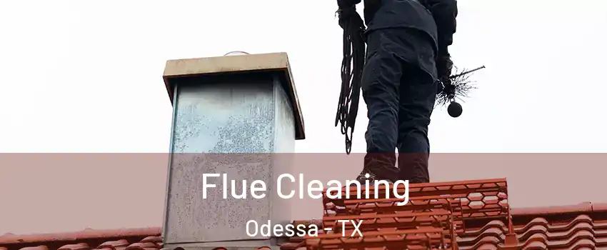  Flue Cleaning Odessa - TX