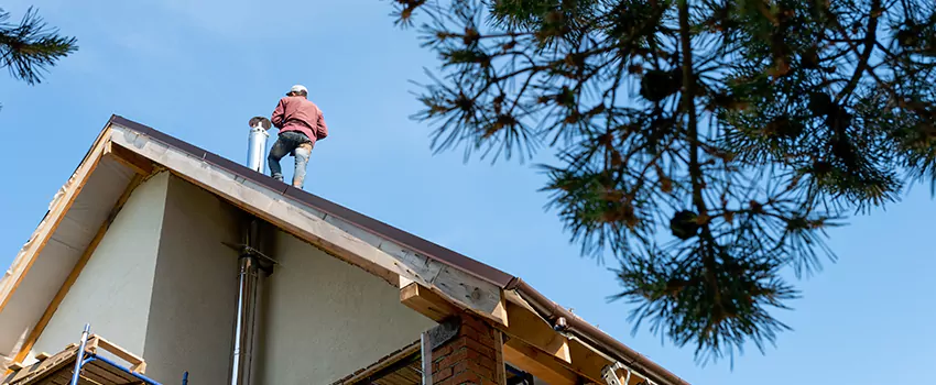Birds Removal Contractors from Chimney in Odessa, TX