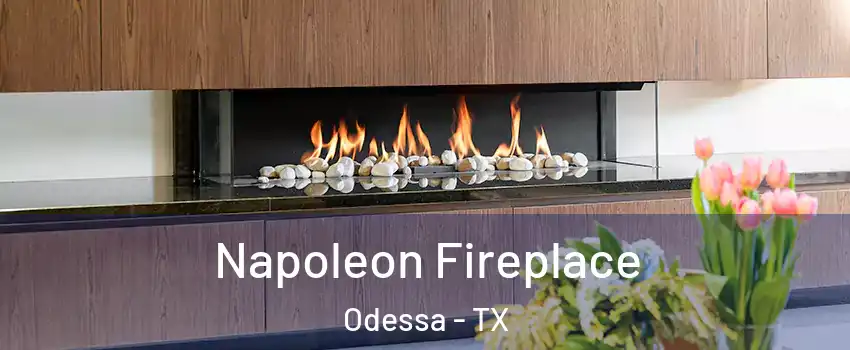  Napoleon Fireplace Odessa - TX